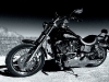 Harley Davidson